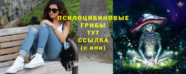 кокс Белокуриха