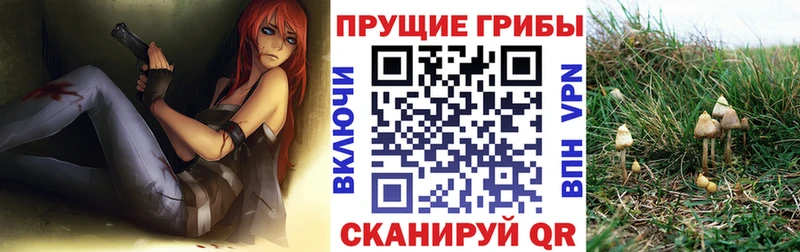 Купить закладки  Верхний Тагил  Псилоцибиновые грибы ЛСД 